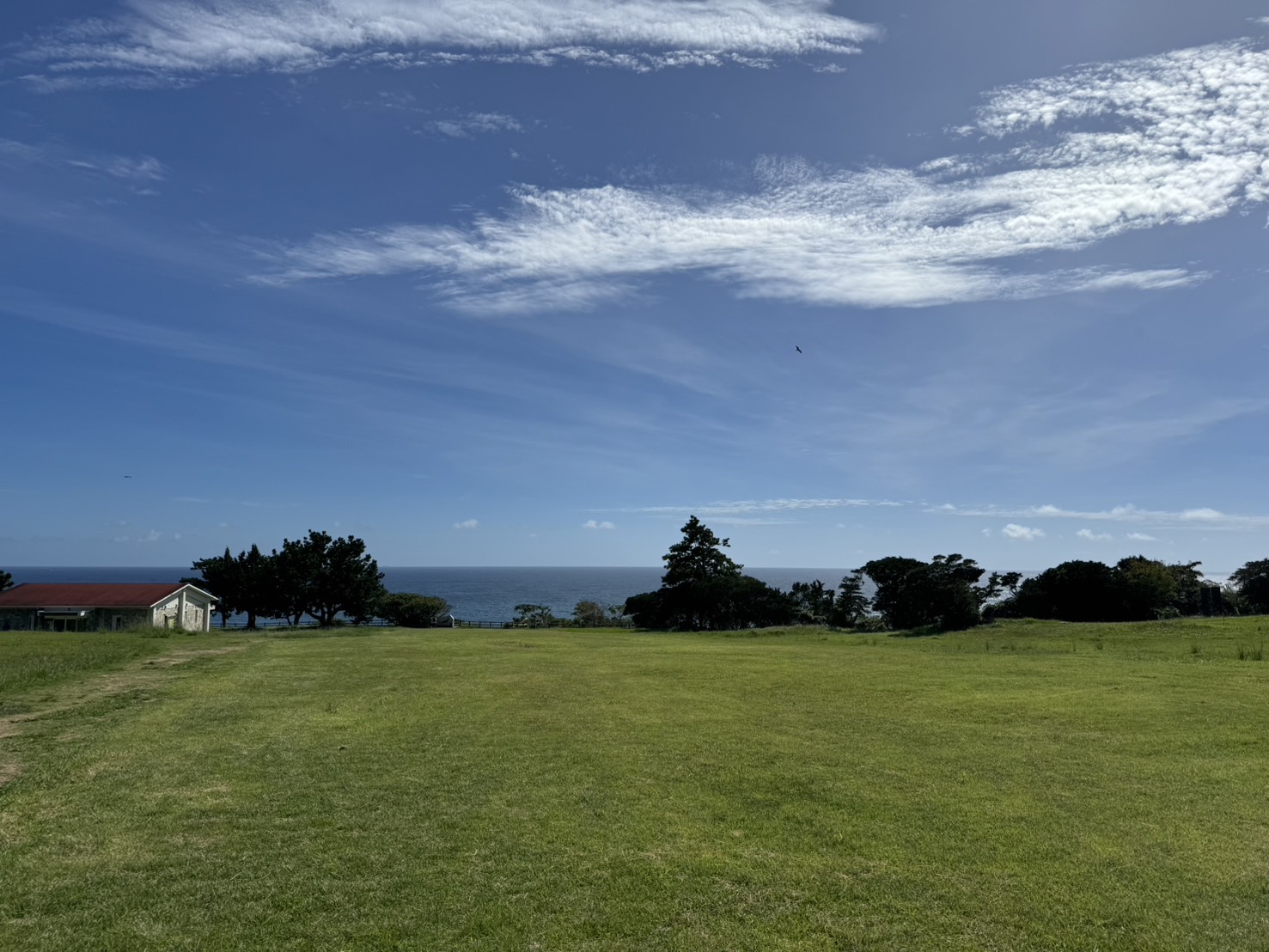 Brain Rewire Programー脳のクセを書き換える