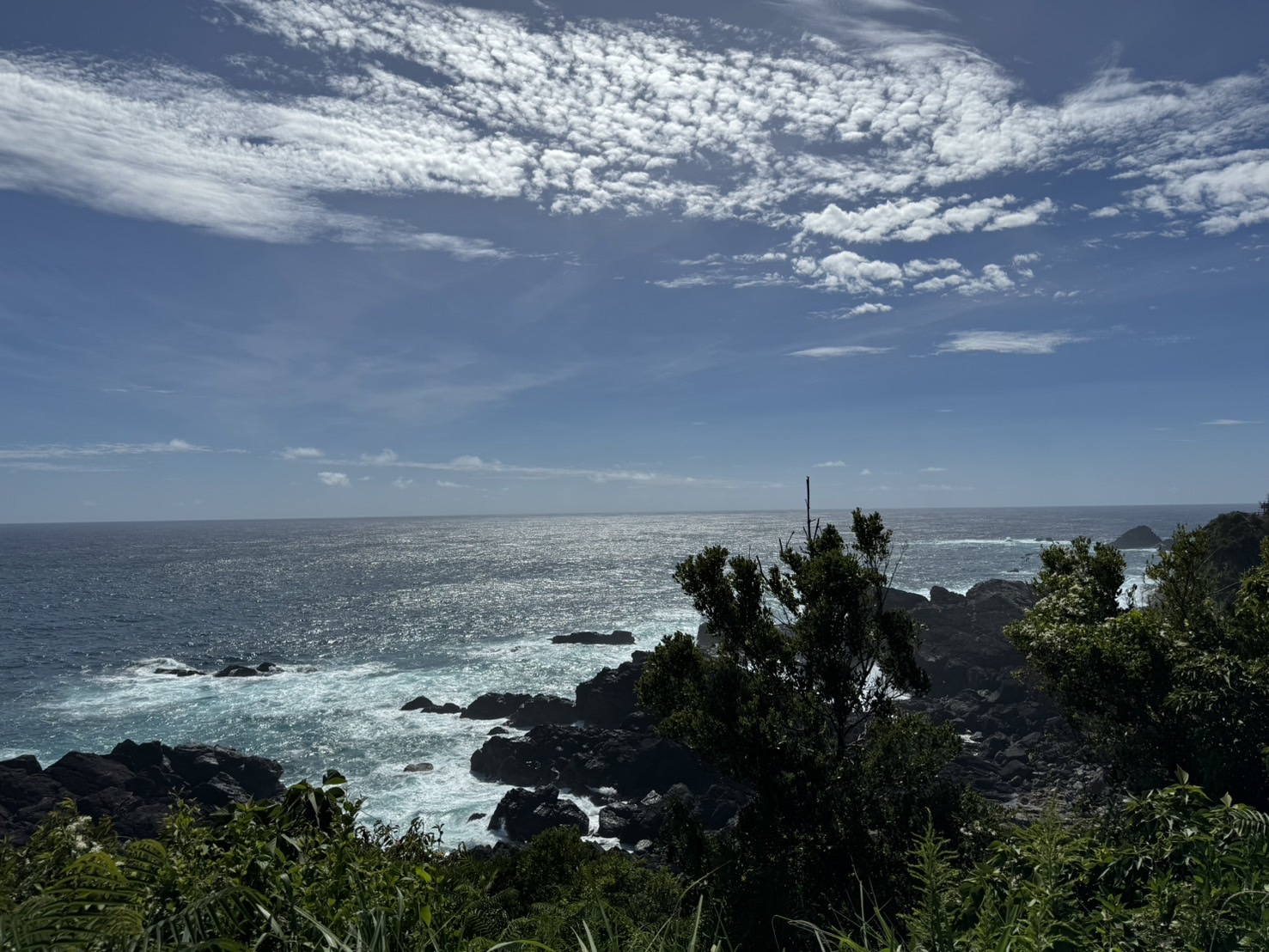 Body Resonance Trainingー話しやすくなる身体の調律